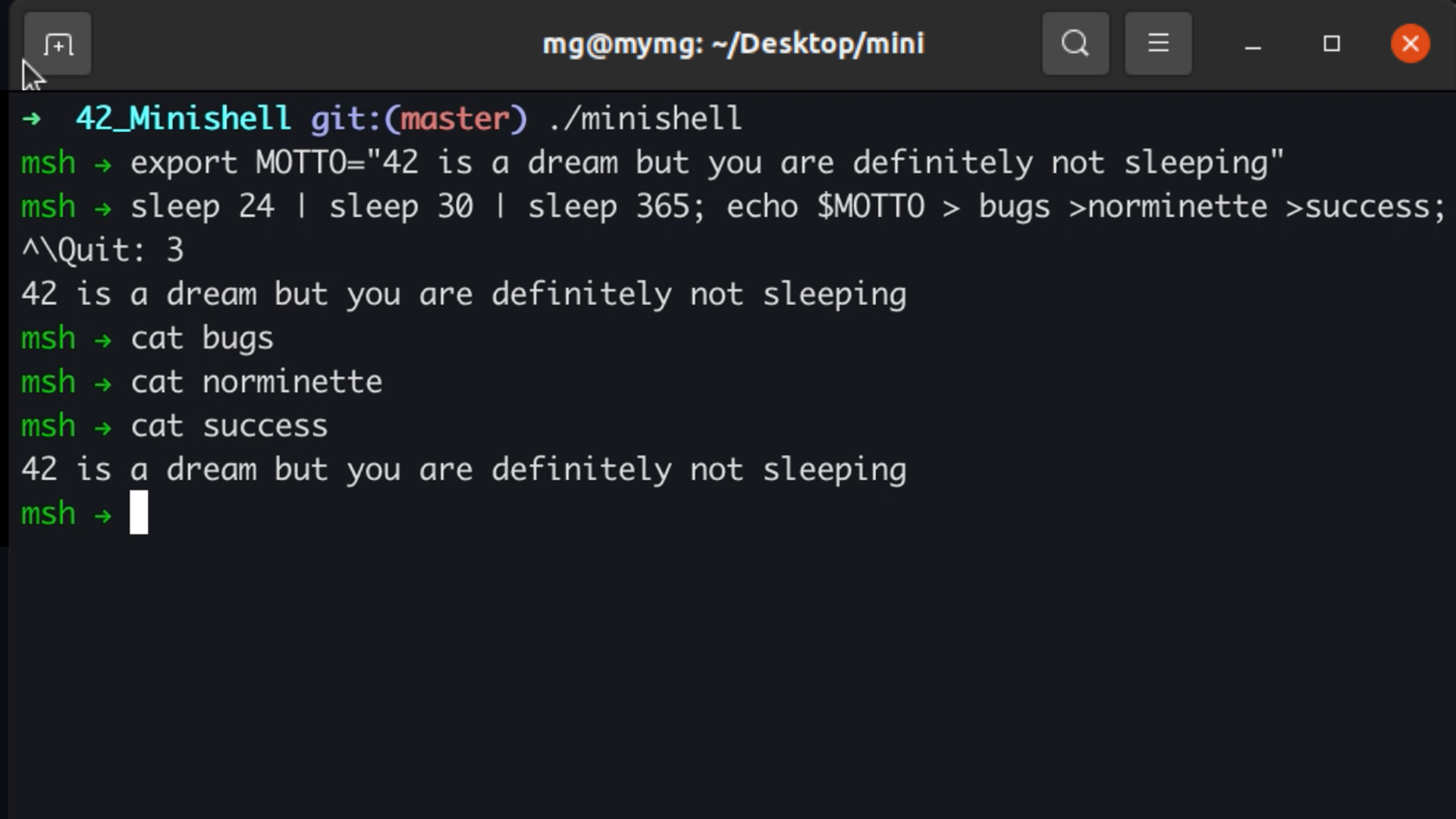 Minishell Bash-like Shell in C — Unix Systems Programming | Devsign